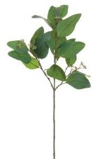 Eucalyptus Leaf Spray, 24.5"- Green