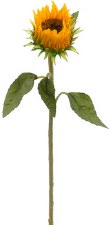 Sunflower Bud, 24.5"- Yellow