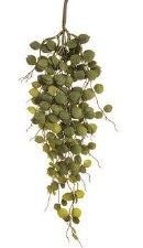 Button Leaf Hanging Spray, 24"- Green