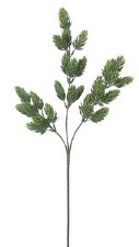 Hops Spray, 25"