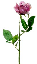 Rose Open Spray, 26"- Antique Lavender