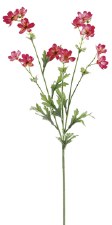 Baby Cosmos Spray, 27.5"- Dark Pink