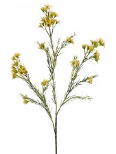 Waxflower Spray, 27"- Yellow