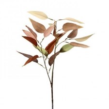 Harvest Long Leaf Eucalyptus Spray, 28'