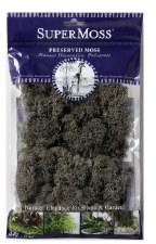 SuperMoss Reindeer Moss, 2oz- Cashmere