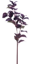 Coleus Leaf Spray, 32"- Burgundy/Green