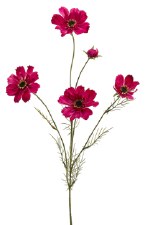 Cosmos Spray, 32"- Beauty