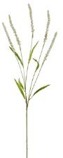 Forest Setaria Spray, 37"- Cream
