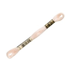 3770 DMC Embroidery Floss - Very Ligjt Tawny