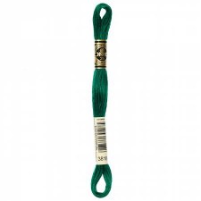 3818 DMC Embroidery Floss - Very Dark Emerald Green