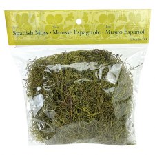 Spanish Moss, 4oz- Bright Green