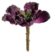 Ruffle Echeveria Spray, 4.5" - Plum/Green