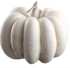 Pumpkin, 7" - White/Cream