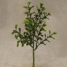 Boxwood Pick, 8"