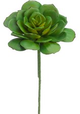Echeveria Pick, 9.5"- Green