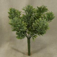 Matai Bush, 9"- Green