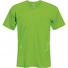 Adult T-Shirt- Lime, Small