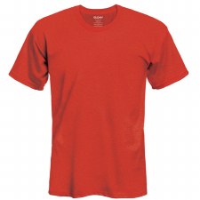 Adult T-Shirt- Red, Small