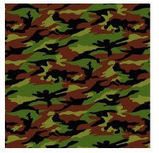 All American Bolted Fabric - Camo