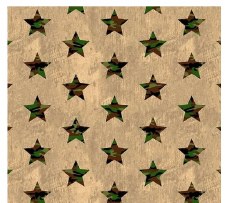 All American Bolted Fabric - Tan Camo Stars