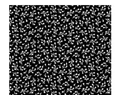 Basically Black & White 2 Bolted Fabric - 10219- 98