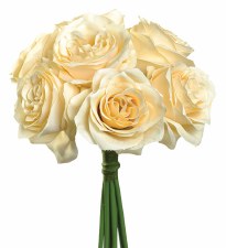Ashley Rose Wedding Bouquet- Beige