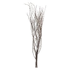 36" Birch Branch Bundle