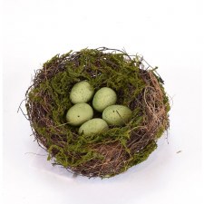Bird Nest With Moss