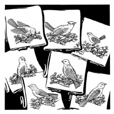 Aunt Martha's Iron On Transfers- Birds Galore #3534