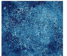 Blender Bolted Fabric - Blue