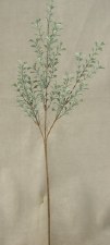 Boxwood Spray, 26"- Dusty Green