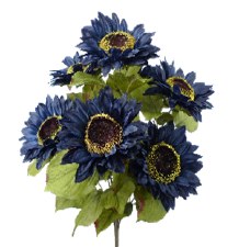 Sunflower Bush - Blue