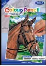 Color Pencil By Number Kit, 5"x7" - Horse