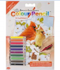 Color Pencil By Number Kit, 5"x7" - Cardinal Pair