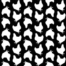 Country Fresh Bolted Fabric- Chickens