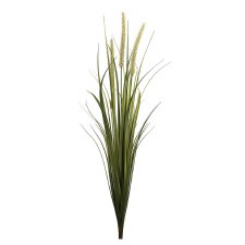 Dogtail Grass Bush, 28"- Light Green