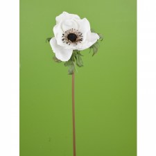 Dried Poppy Anemone, 17"H - White