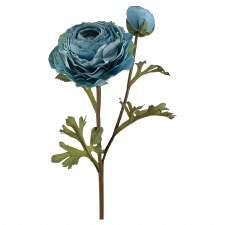 Dried Ranunculus Spray, 22"- Blue
