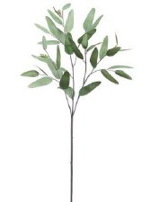 Eucalyptus Leaf Spray, 31" - Green/Gray