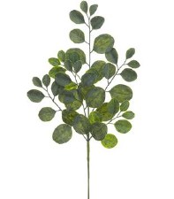 Eucalyptus Spray, 25" - Two Tone Green