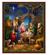 Christmas & Winter Fabric Panel - Born In Bethlehem