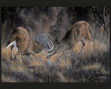 Nature & Wildlife Fabric Panel- Fierce Rivals