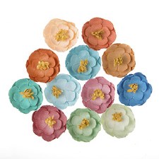 Floral Embellishments, 12ct- Pretty Pastels