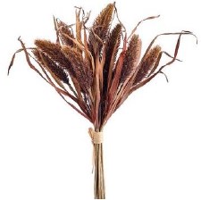 Foxtail Bundle, 14"