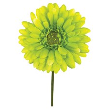 30 Glitter Daisy Flower Twig & Ball Spray: Lime Green Pastel [MN0025] 
