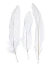 Touch Of Nature Goose Round 7-8" - White