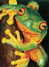 Diamond Facet Art Kit- Green Tree Frog