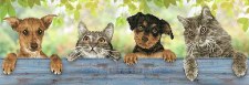 Diamond Facet Art Kit- Hang in There