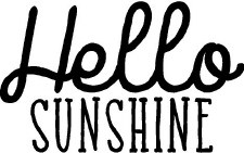 "Hello Sunshine" Vinyl