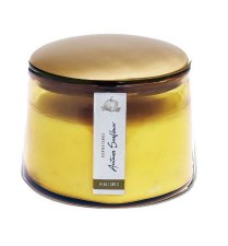 Jar Candle, 14oz. - Autumn Sunflower